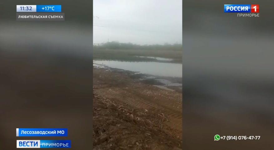 Экологической катастрофой обернулось благоустройство пляжа в Лесозаводске
