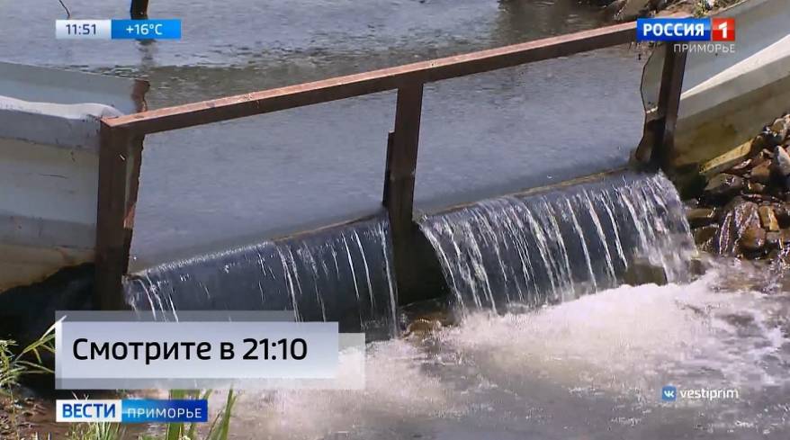 Реки Приморья пополняются лососевыми