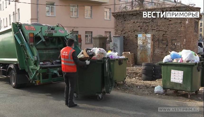 Необычная находка возле мусорных контейнеров обернулась "сроком" для жителя Приморья Необычная находка возле мусорных контейнеров обернулась "сроком" для жителя Приморья