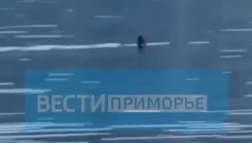 "Надеюсь, лодку не прокусит": опасная хищница огромных размеров напугала рыбака в Приморье