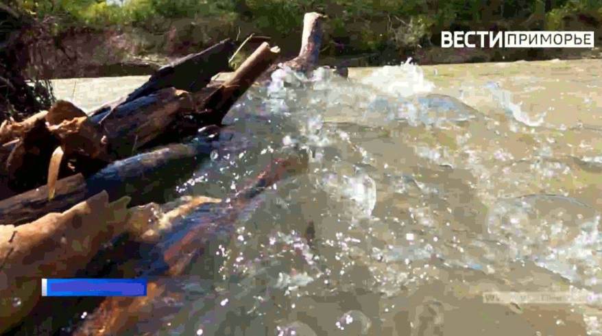 В Приморье ведутся поиски девочки, пропавшей на реке Уссури