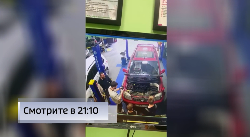 Незванный гость: "пушистик" катается под капотом и кошмарит автомехаников во Владивостоке