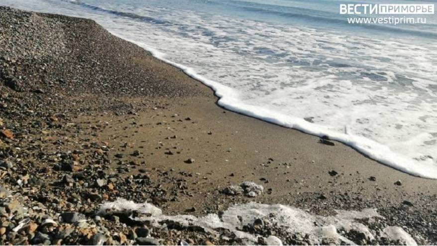 Проезд на популярный пляж в Приморье сделают платным