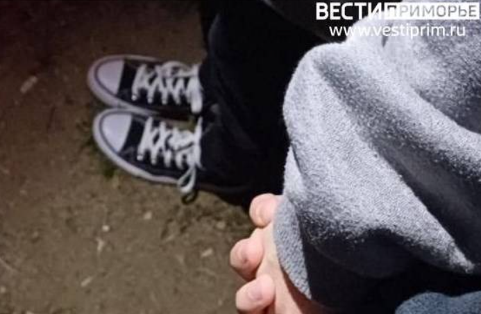 Били ногами, кастетом, ножом: трое "отморозков" предстанут перед судом в Приморье