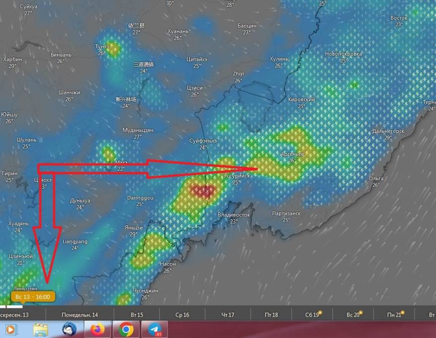 Пик в 16 часов: дожди, ливни и грозы обрушатся на Приморья 13 июля