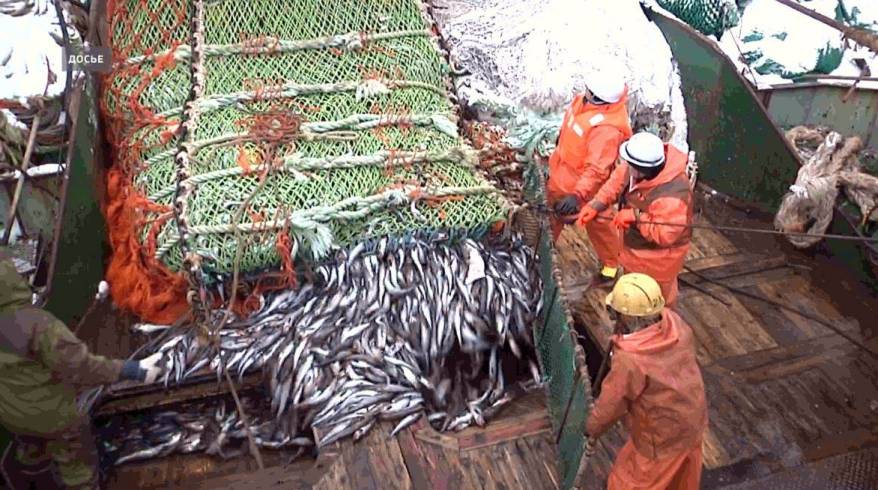 Боцман пострадал при выборке трала на рыболовном судне в Приморье