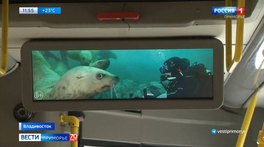 Уже скоро во Владивостоке стартует фестиваль морской документалистики «Человек и море»