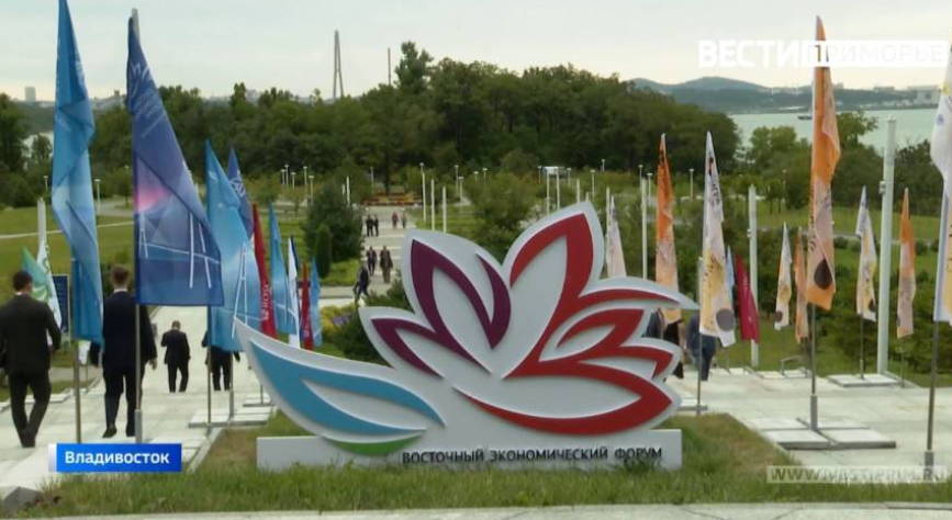 Определена программа Спортивных игр ВЭФ-2025