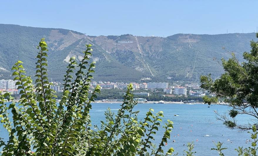 Для приморских туристов сайт аэропорта Геленджика стал бесплатным