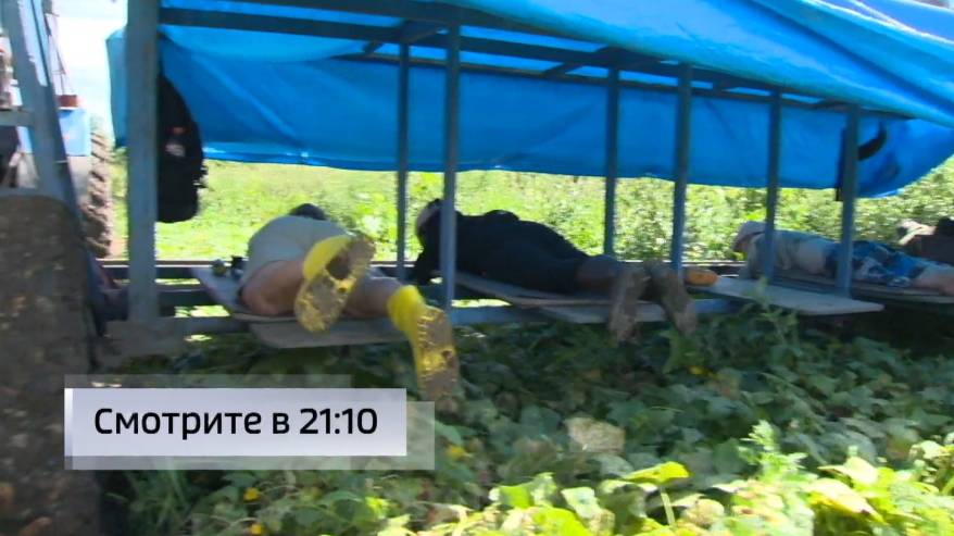 «Бабколеты» вышли в приморские поля