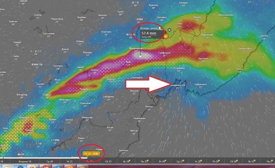 "Нечто страшное" надвигается на юг Приморья