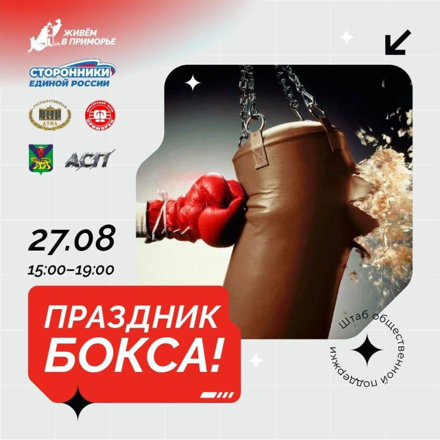Турнир по силе удара проведут «единоросы» во Владивостоке Турнир по силе удара проведут «единоросы» во Владивостоке