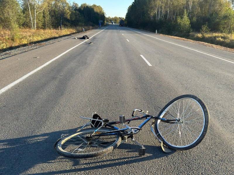 Велосипедист влетел в громадный грузовик в Приморье