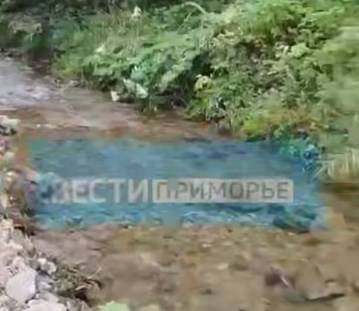 Приморцы обнаружили стаю красной рыбы в кювете у дороги