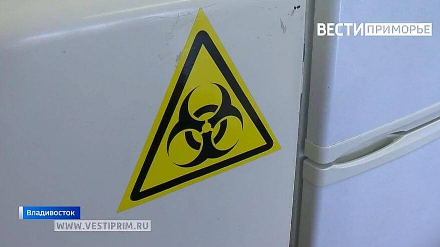 СМИ: новый опасный вирус обнаружен учеными СМИ: новый опасный вирус обнаружен учеными