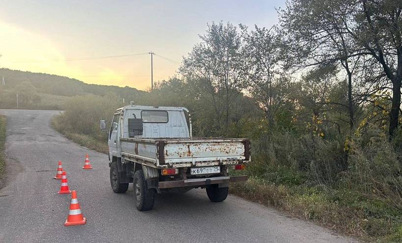 Дети выпали из кузова грузовика в Приморье: девочка погибла