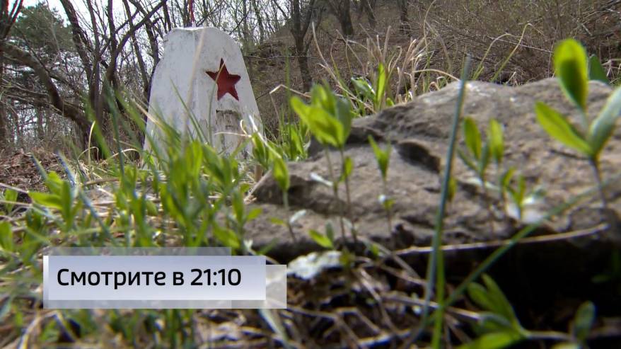 «Хасанский вальс»: узнают ли приморцы, чьим голосом звучит?