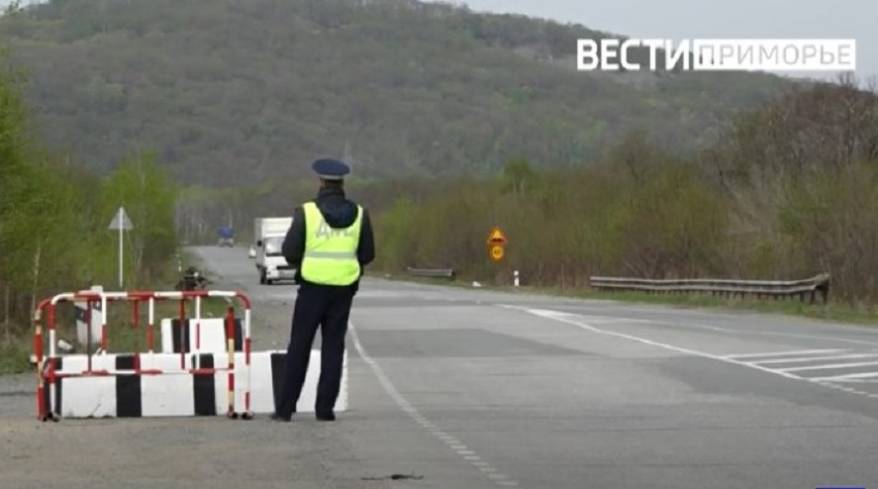 Новые штрафы для водителей за сбитых животных Новые штрафы для водителей за сбитых животных
