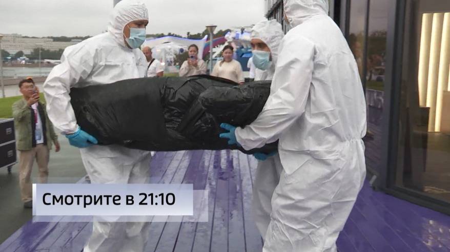 Якутия на юбилейный ВЭФ привезла эксклюзив — уникальную находку — тушу мамонтёнка Яны
