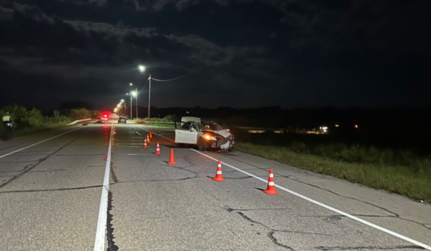 Автомобиль сбил лошадь: в жутком ДТП в Приморье погиб человек, еще двое получили травмы