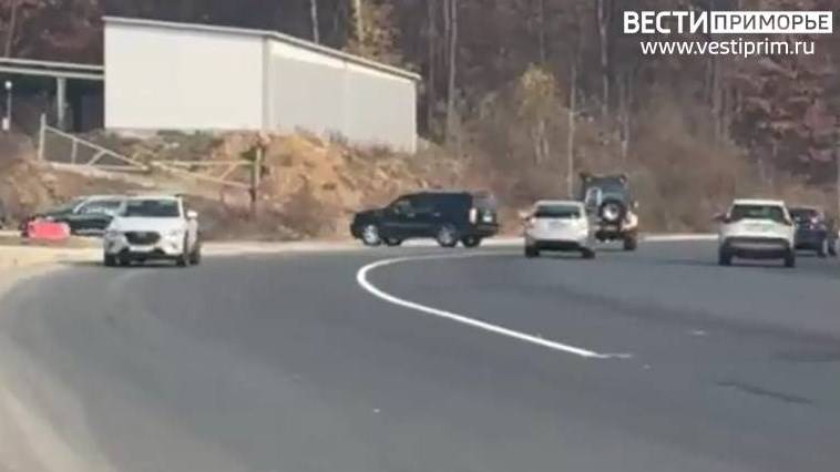 Новая разметка на дороге запретила поворот к жилым домам в районе Снеговой Пади Новая разметка на дороге запретила поворот к жилым домам в районе Снеговой Пади