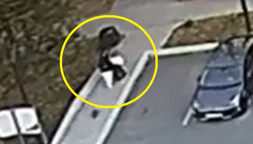 Две дамы устроили жесткие разборки из-за собачьих экскрементов во Владивостоке