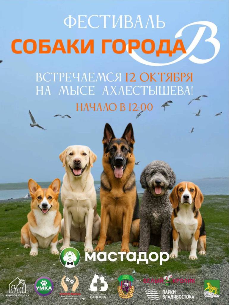 Четвероногие друзья порадуют владивостокцев на фестивале «Собаки города_В»