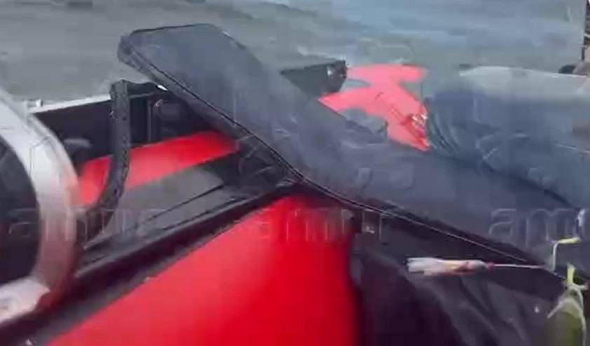 «Рыбаки недоумевают»: тропические красотки попались на крючок в бухте Владивостока