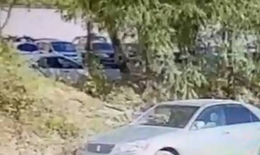 В кустики: водитель во Владивостоке стал «звездой», совершив опрометчивый поступок В кустики: водитель во Владивостоке стал «звездой», совершив опрометчивый поступок