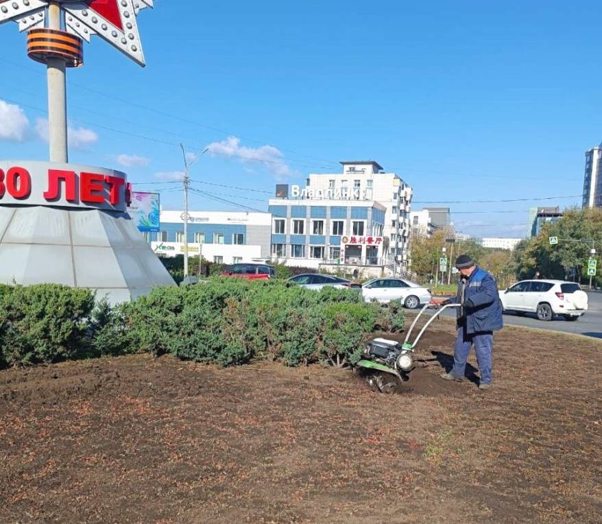 Весной улицы Владивостока украсят более 40 тысяч тюльпанов