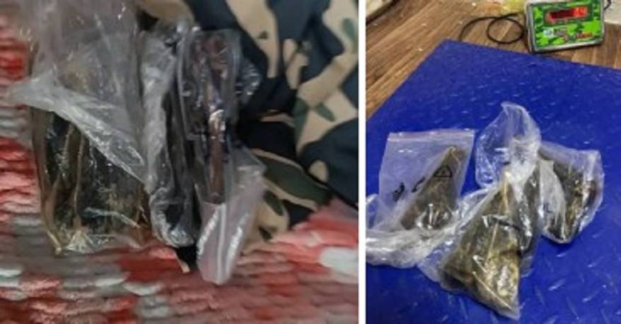 Дериваты пытался провезти водитель через границу в Приморье Дериваты пытался провезти водитель через границу в Приморье