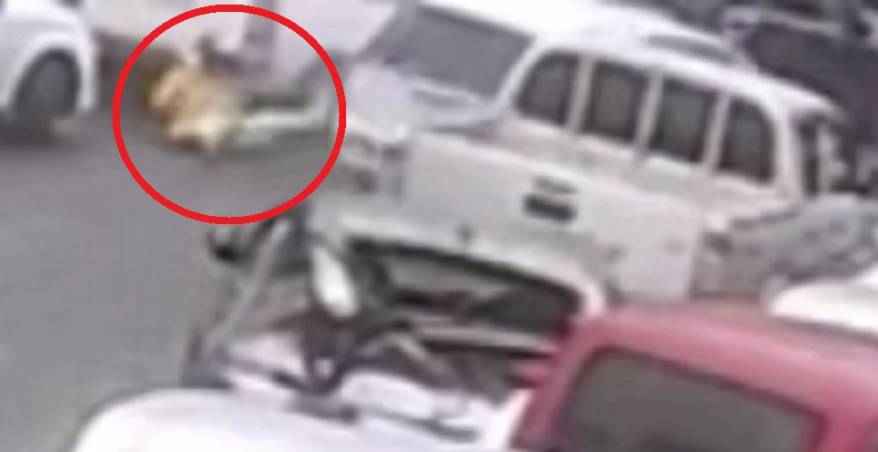 «Вылетела из авто на дорогу»: подробности массового «замеса» с 13-ю авто во Владивостоке «Вылетела из авто на дорогу»: подробности массового «замеса» с 13-ю авто во Владивостоке