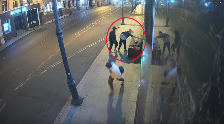 Владивостокский Хатико снова подвергся нападению вандалов