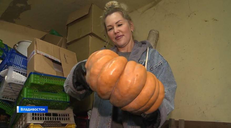 Урожай тыквы радует приморцев: одни ее едят, другие из нее вырезают