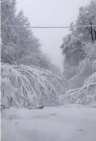 Снегопад заблокировал выезд из приморского села