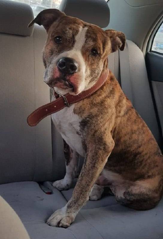 Тргательная история любви и предательства произошла во Владивостоке