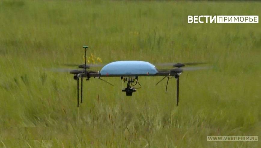 В Приморье введен запрет на публикацию о возможных последствиях атак беспилотников В Приморье введен запрет на публикацию о возможных последствиях атак беспилотников