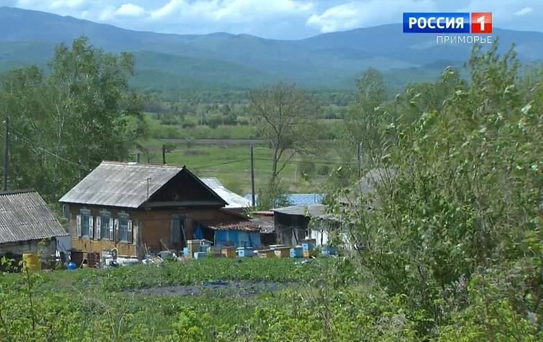 Преступная схема «дележки» земельных участков выявлена в Надеждинском районе Приморья