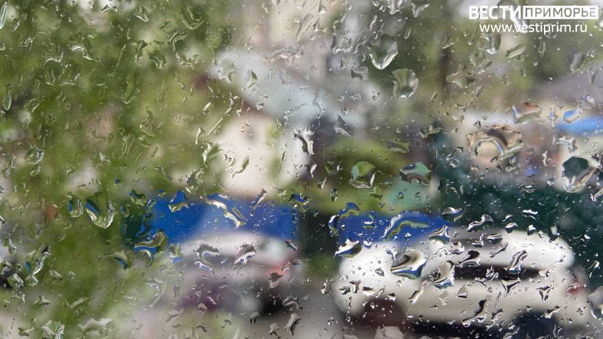 Дожди возможны в День народного единства в Приморье