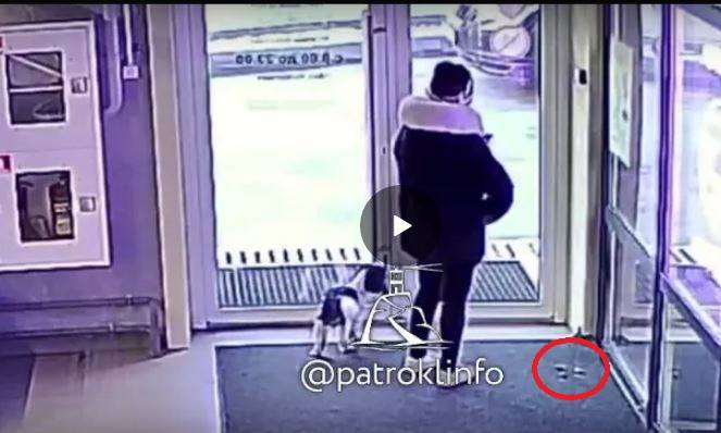 Районный паблик опозорил «даму с собачкой» во Владивостоке