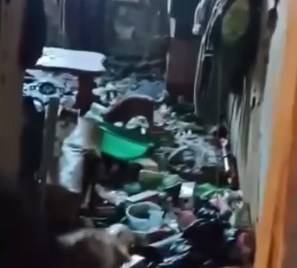 Соседи страдают от соседа «кошатника» в гостинке Владивостока