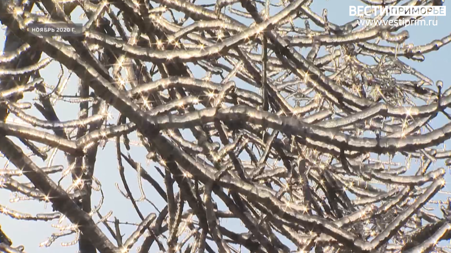 Сильный снег, ледяной дождь, гололед - набор погодных сюрпризов прогнозируется в Приморье