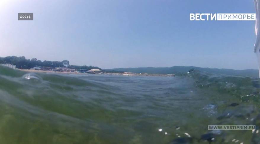 Тело утопленника выловили из воды в районе Спортивной гавани Владивостока