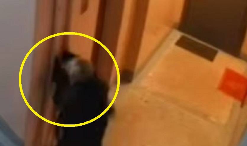 Маленький садист отрабатывал удары на котейке в подъезде дома во Владивостоке Маленький садист отрабатывал удары на котейке в подъезде дома во Владивостоке