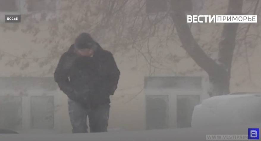 Снег и гололед: Приморье окажется во власти циклона в начале следующей недели