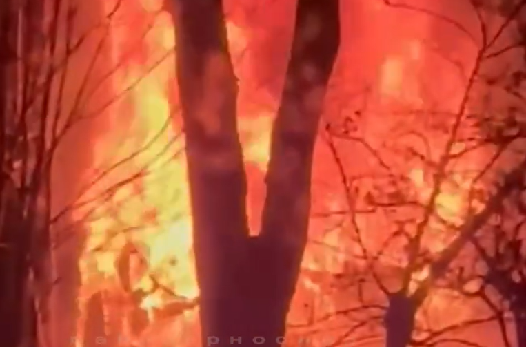 Автомобиль врезался в опору освещения и загорелся в Приморье