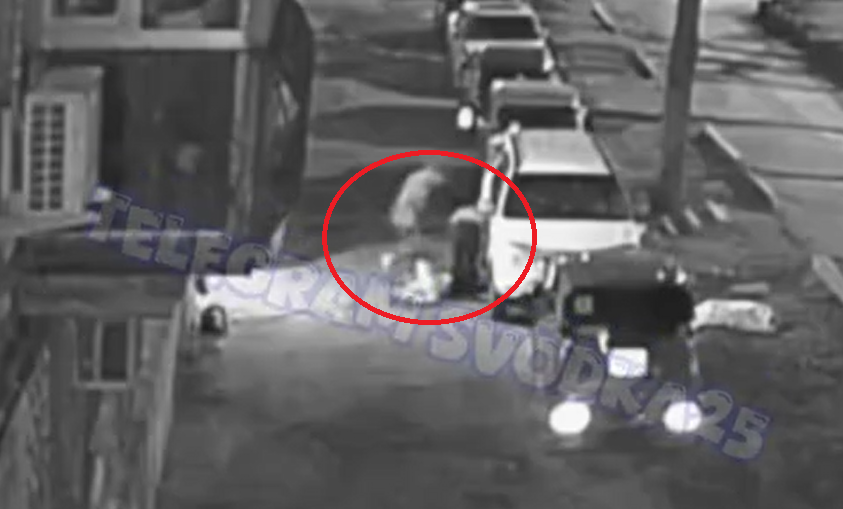 "Били ногами и валяли по земле": дикие крики напугали жителей одного из районов Владивостока