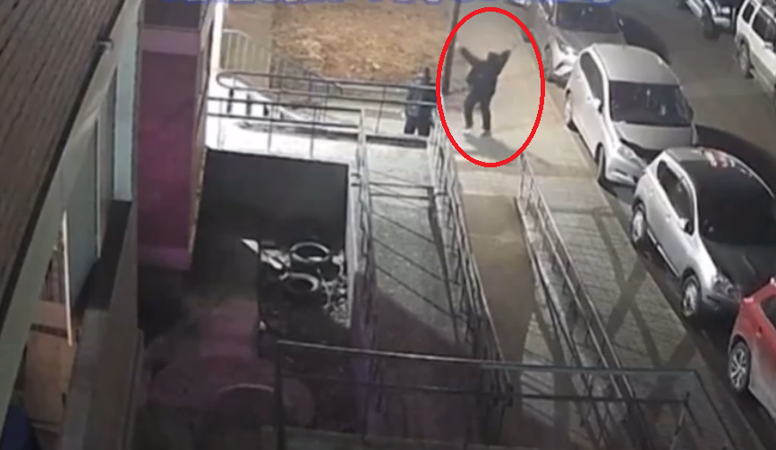 Безумная "дама" забросала кирпичами окна соседей во Владивостоке