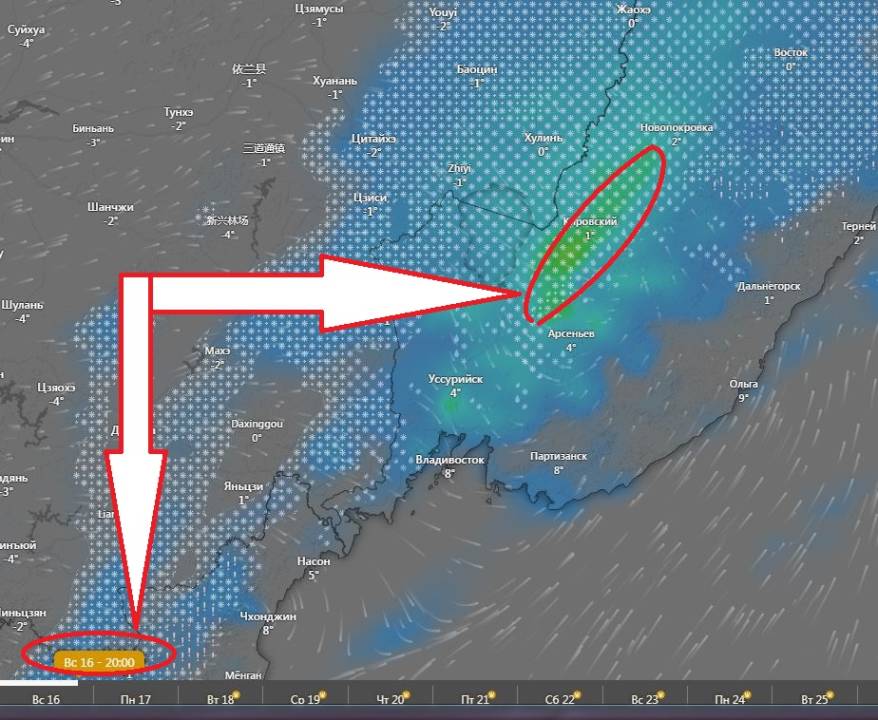 Синоптики назвали время и место основного удара стихии по Приморью