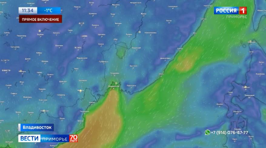 Циклон приближается. Какие районы Приморья попадут под удар стихии уже в ближайшие дни?